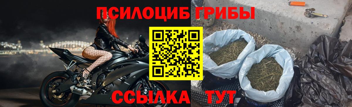 Псилоцибиновые грибы Psilocybine cubensis  Псилоцибиновые грибы ЛСД  Вход с VPN  Тара 